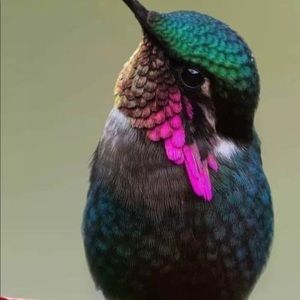 Meet your Posher, Lucy